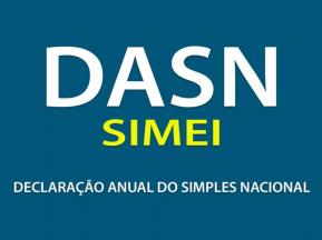 DASN SIMEI - Declarao do MEI